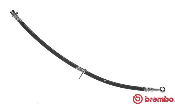 T 28 092