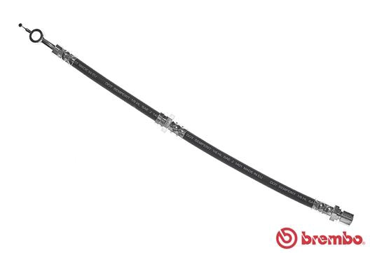 T 10 005