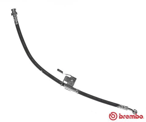 T 30 066