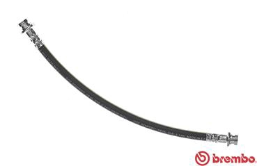 T 56 141