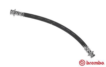 T 79 039