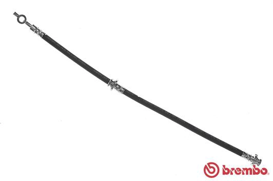 T56136