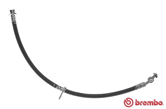 T 83 106