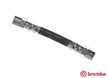 T06033