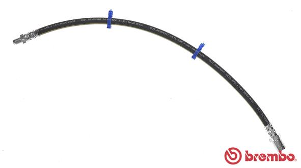 T A6 024
