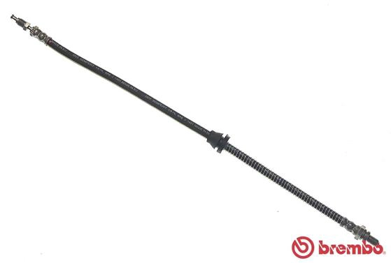 T24031
