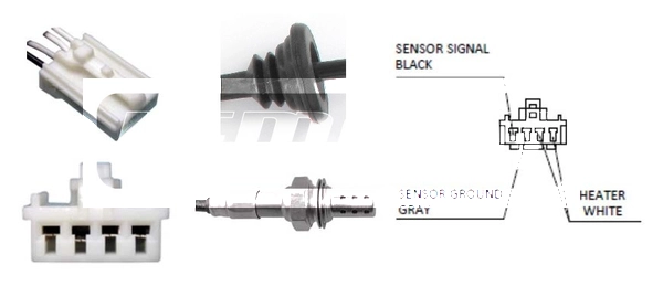 LLB605