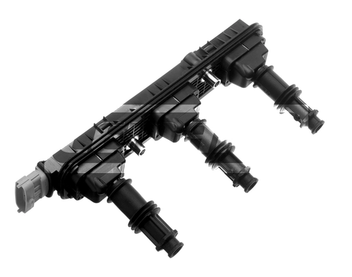 CP304
