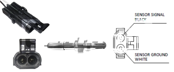 LLB581