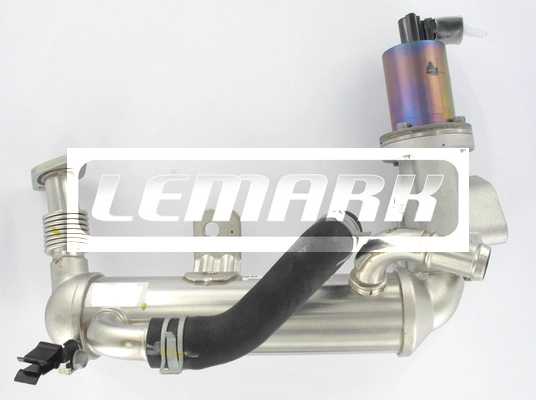 LEGR356
