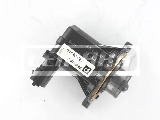 LEV079