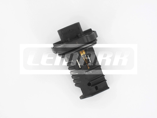 LMF296