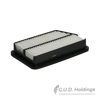 AG1013