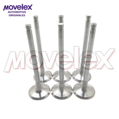 M08027