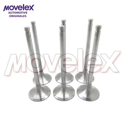 M08025