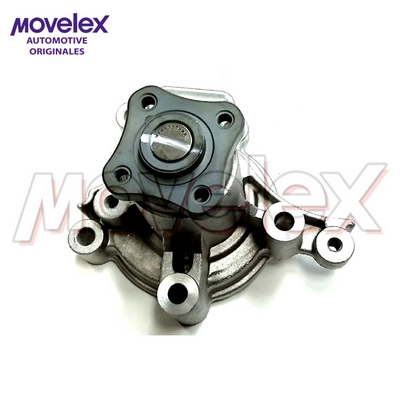 M05816