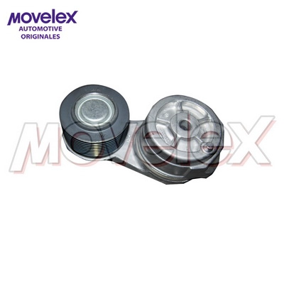 M05619