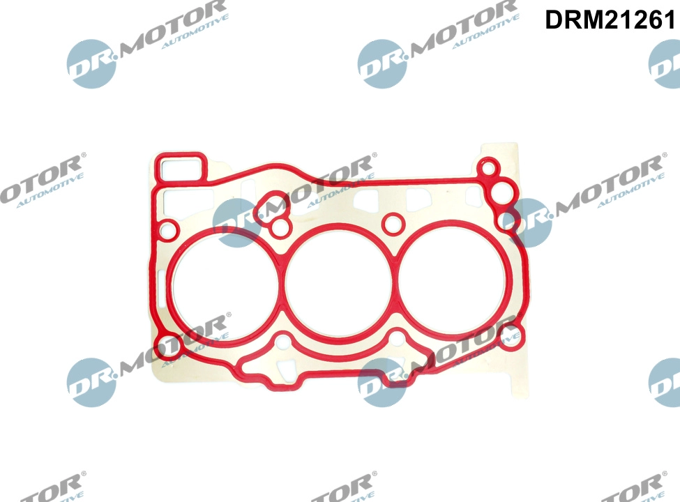 DRM21261