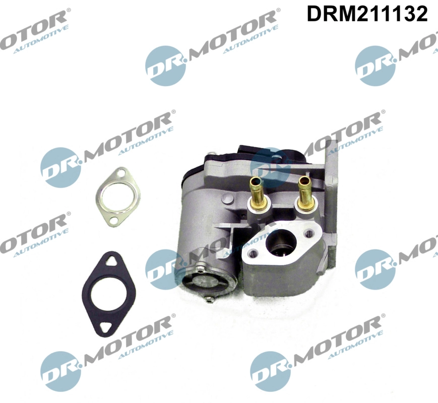 DRM211132