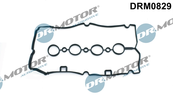 DRM0829