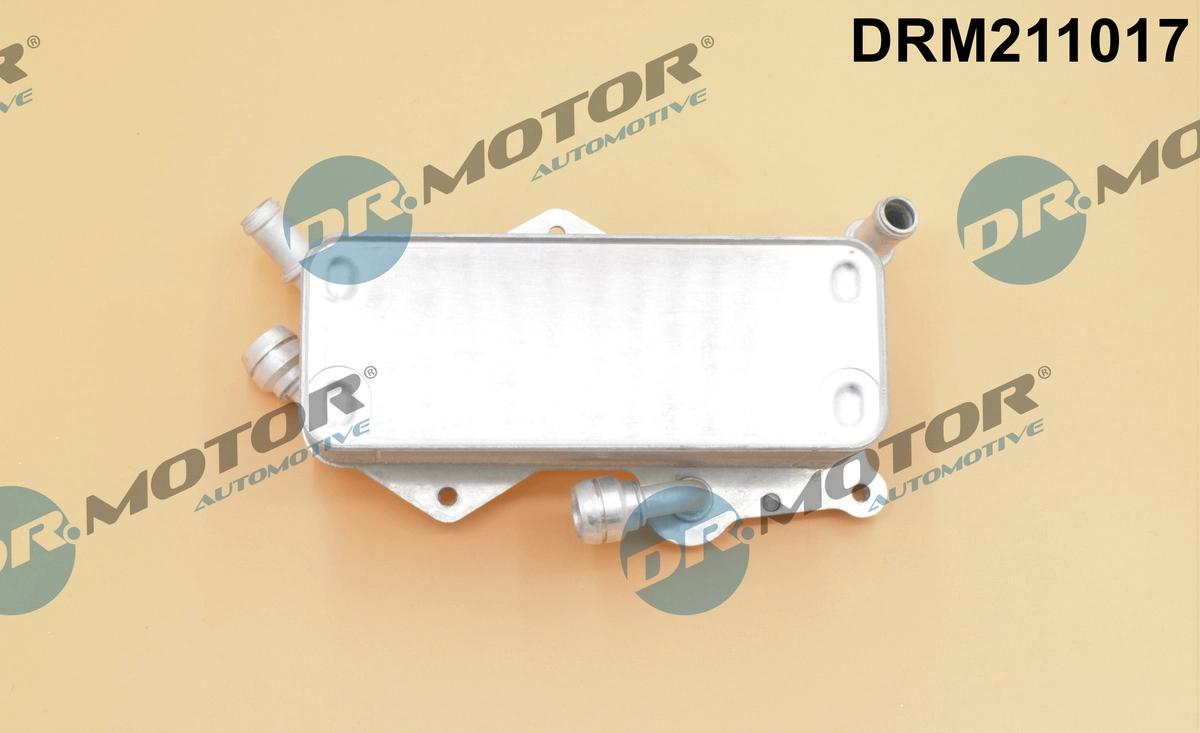 DRM211017