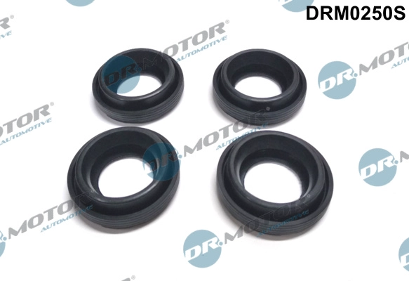 DRM0250S