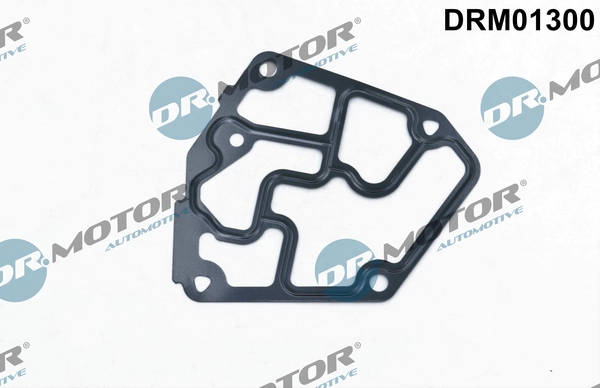 DRM01300
