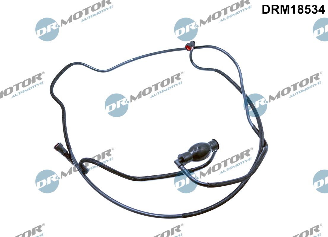 DRM18534
