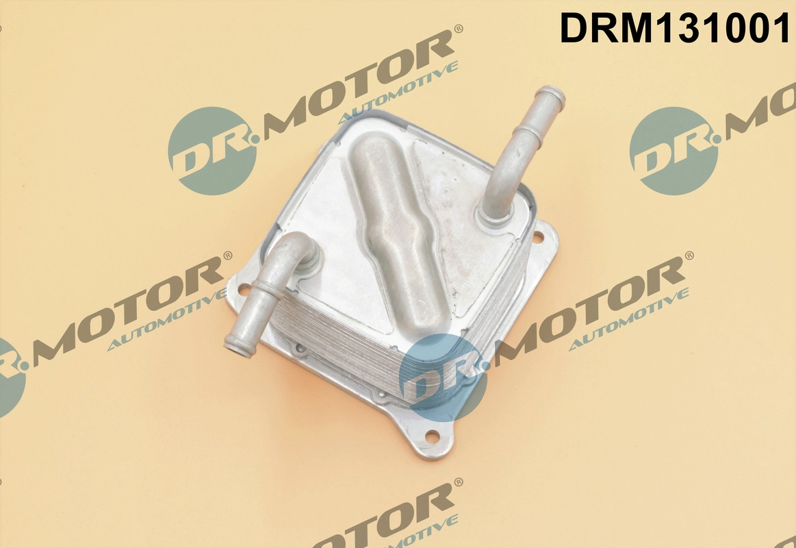 DRM131001