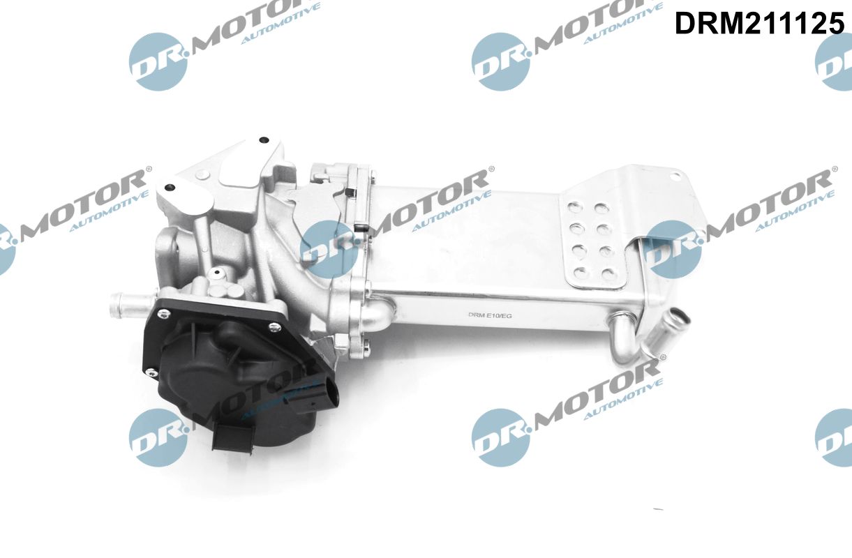 DRM211125