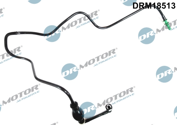 DRM18513