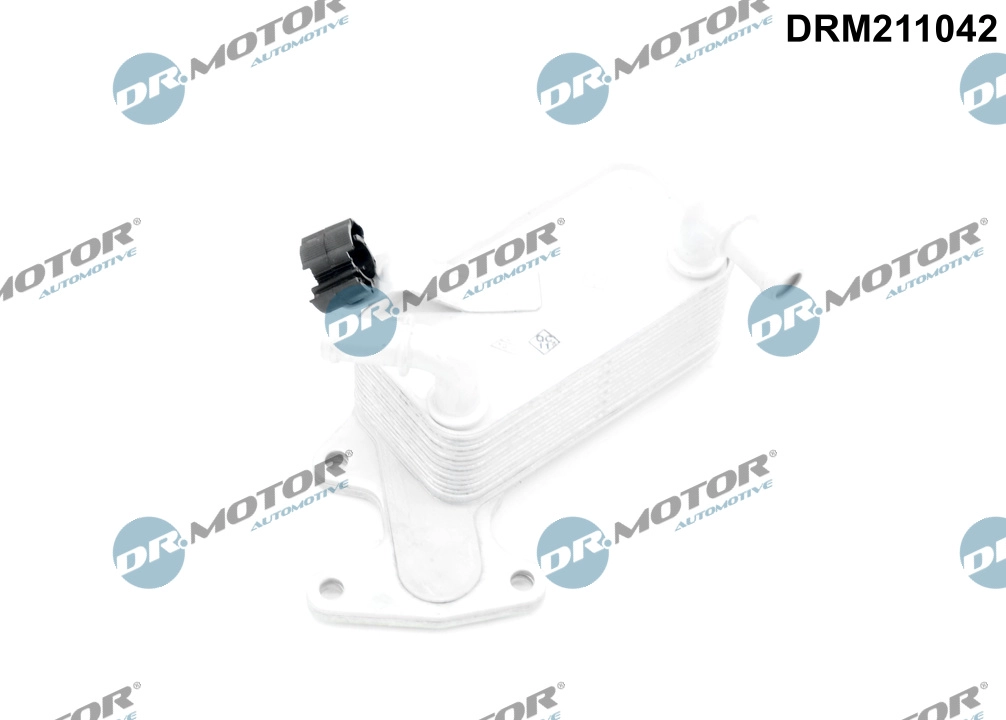 DRM211042