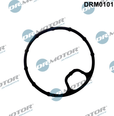 DRM0101
