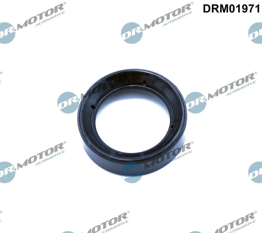 DRM01971