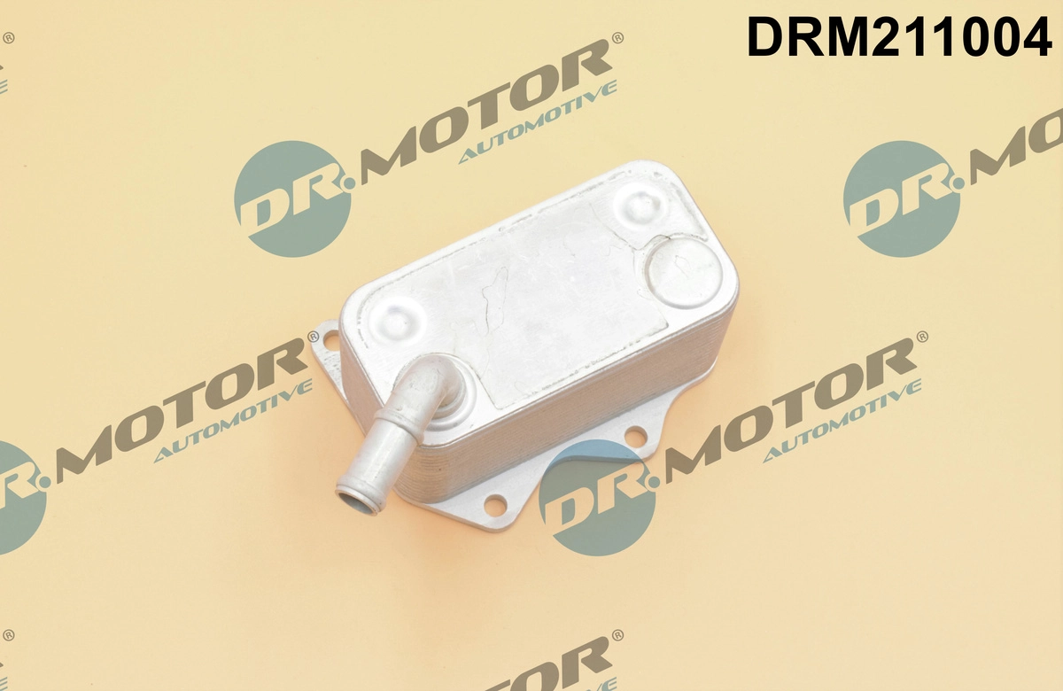 DRM211004