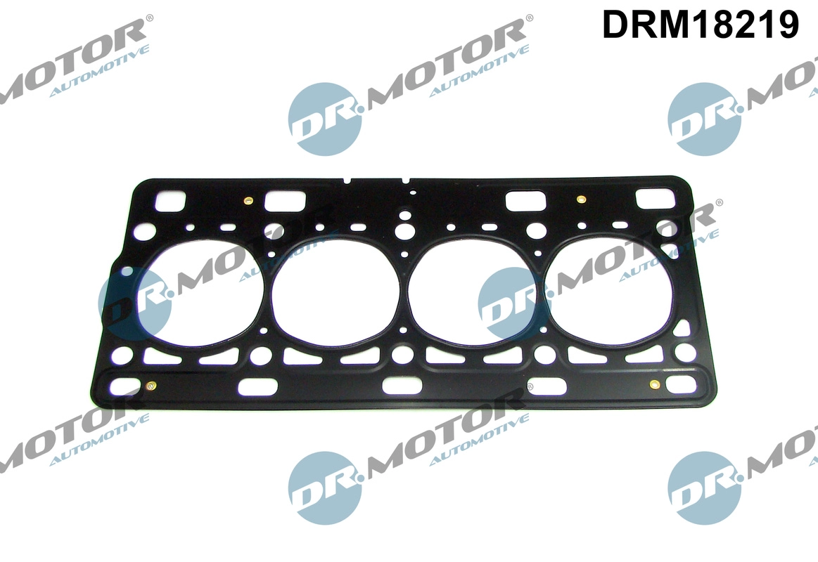 DRM18219