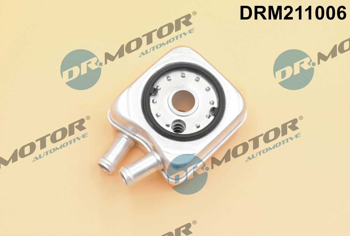DRM211006