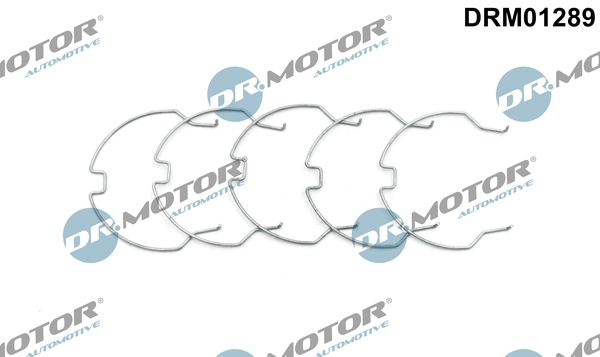 DRM01289