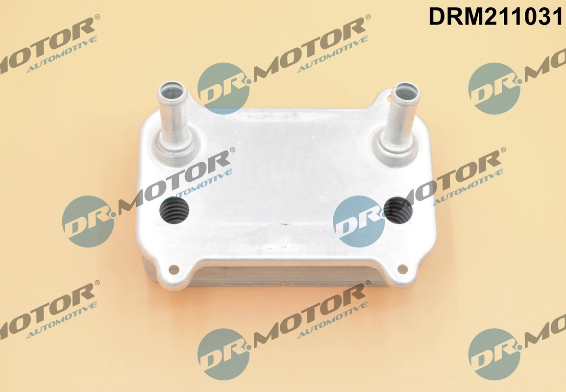 DRM211031