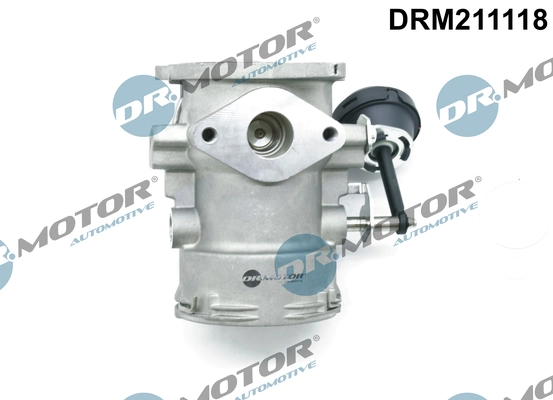 DRM211118