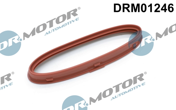 DRM01246