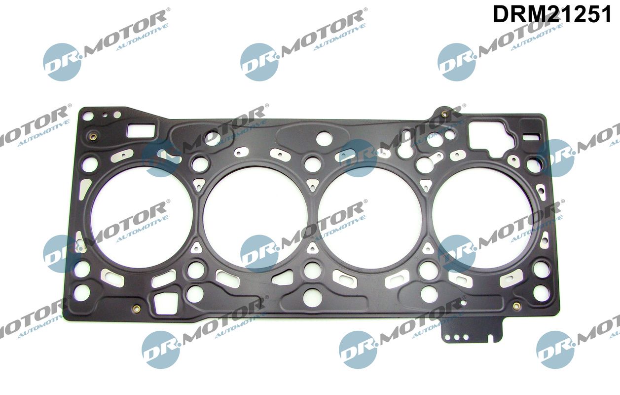 DRM21251