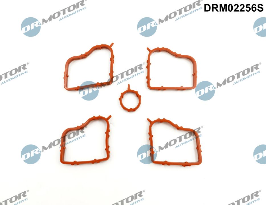 DRM02256S