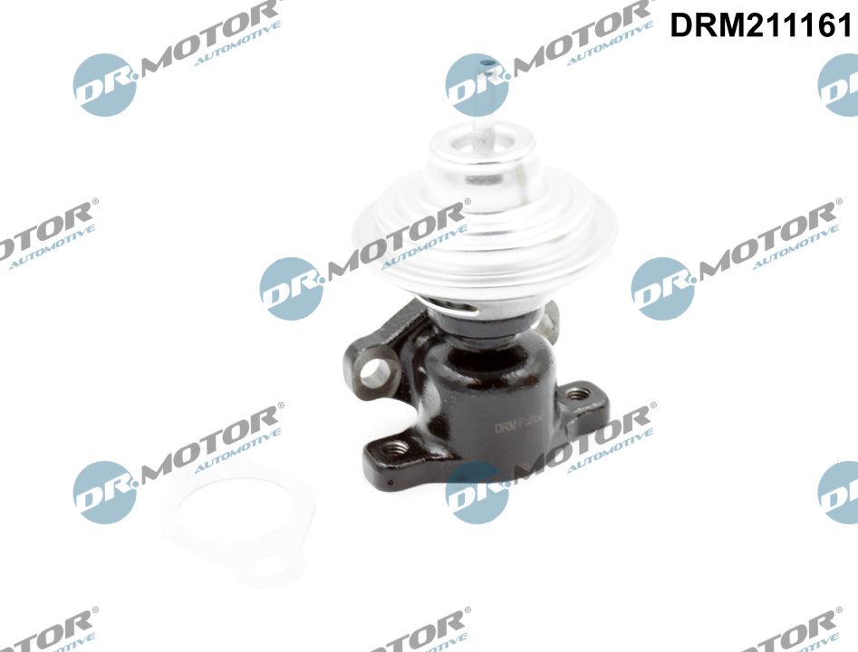 DRM211161