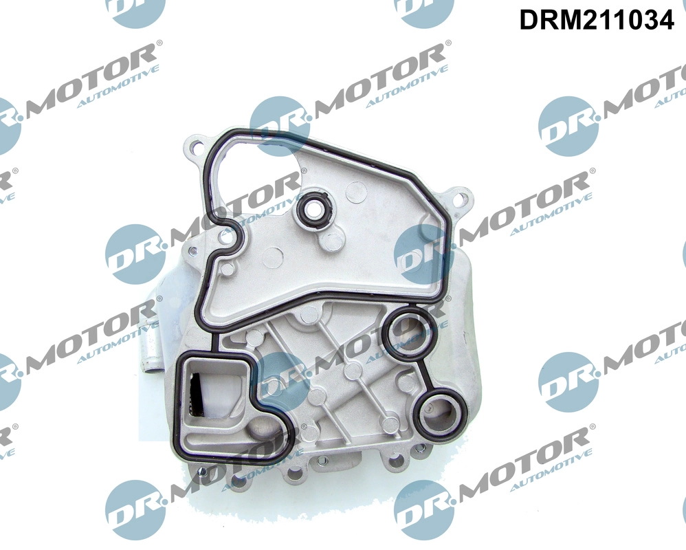 DRM211034