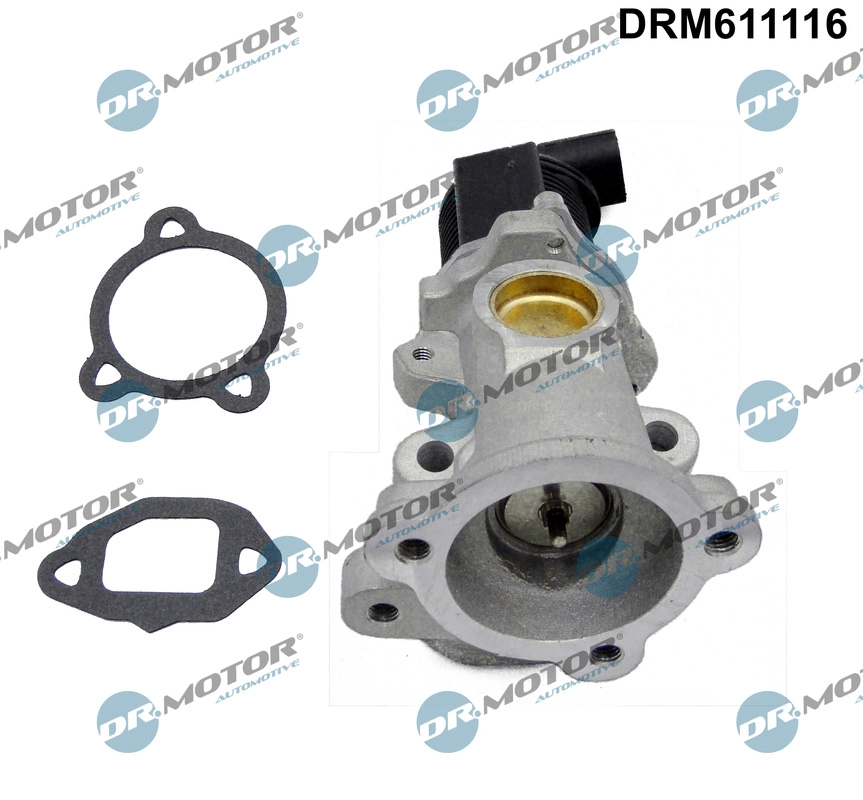 DRM611116