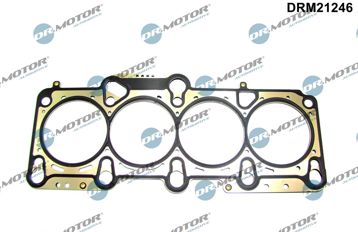 DRM21246