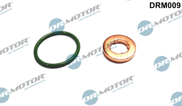DRM009