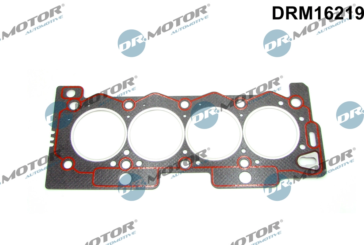 DRM16219