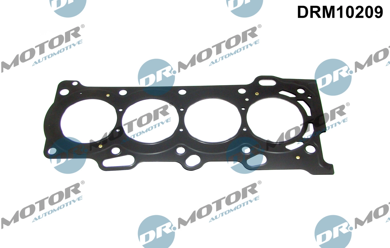 DRM10209